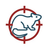 Dératisation-anti-rat-souris-mulot-rongeurs Protech nuisibles Dératisation-anti-rat-souris-mulot-rongeurs Hérault Mèze agde béziers montpellier Protech nuisibles