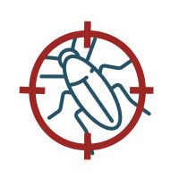 Désinsectisation-anti-cafard-punaise de lit-insecte-fourmi-frelon asiatique Protech Nuisibles Désinsectisation-anti-cafard-punaise de lit-insecte-fourmi-frelon asiatique Héraultais Montpellier Béziers Mèze Agde Pézenas Protech Nuisibles