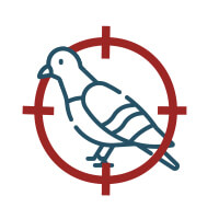 Protection du batiment pour les nuisibles pigeons déterioration- excréments Protech nuisible Protection du batiment pour les nuisibles pigeons déterioration- excréments Protech nuisible